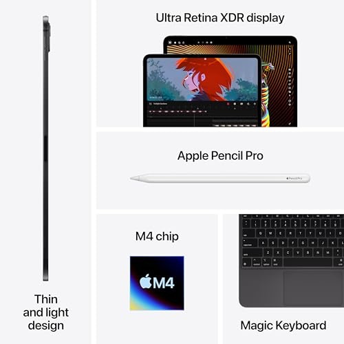 Apple iPad Pro 13-inch (M4) (2024, 7th Generation) WiFi 256GB with Standard Glass - Space Black