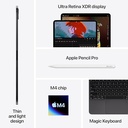 Apple iPad Pro 13-inch (M4) (2024, 7th Generation) WiFi 256GB with Standard Glass - Space Black