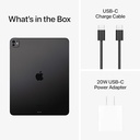 Apple iPad Pro 13-inch (M4) (2024, 7th Generation) WiFi 256GB with Standard Glass - Space Black