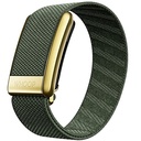 WHOOP SuperKnit Luxe Band- Ivy & Gold | Healf
