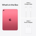 Apple iPad (A16) 11-inch Wi-Fi 128GB (2025, 11th Generation) - Pink